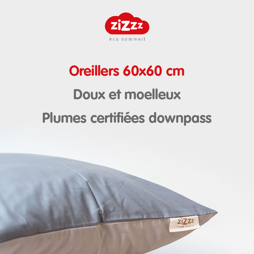 Oreillers ergonomiques 60x60cm Zizzz éco sommeil