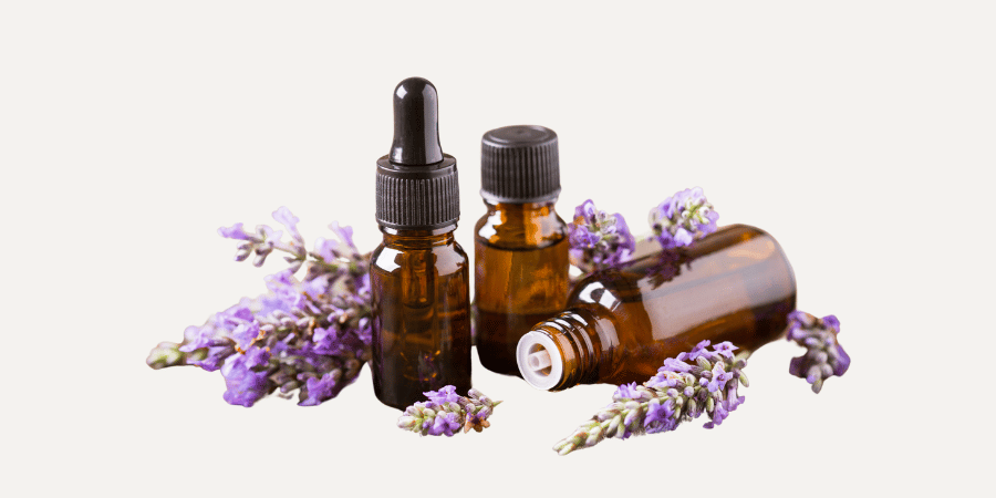 huiles essentielles et lavande