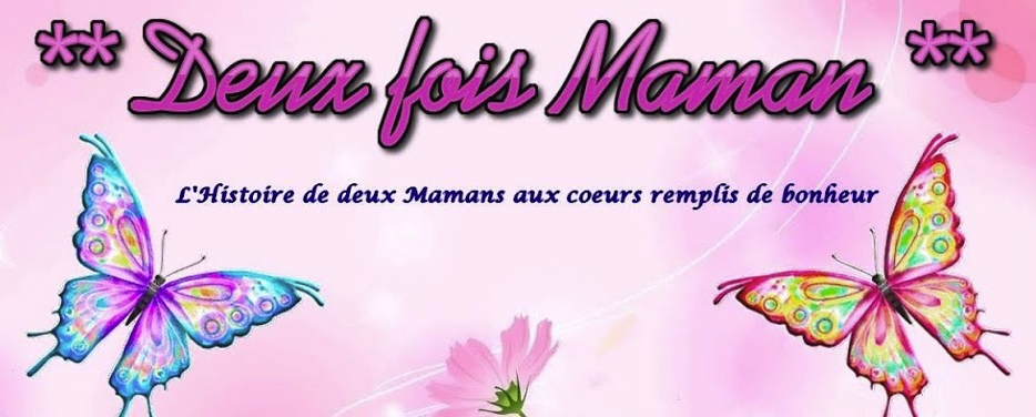 Logo Deux fois maman